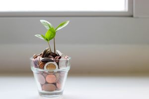 glass-with-coins-plant
