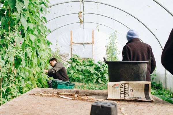 man-wearing-black-jacket-inside-the-greenhouse