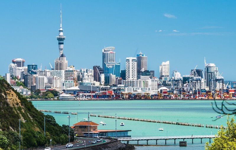 image of new zealand skyline